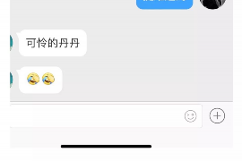 南澳贷款清欠服务